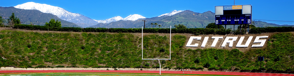 field and mountain